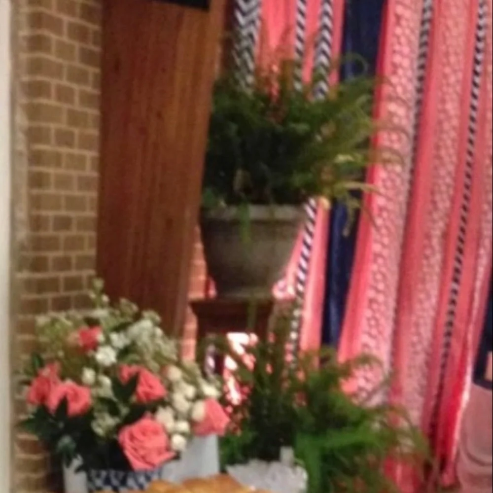 Photo Event party decoration Backdrop Streamers: Navy, White, Coral, Hot Pink